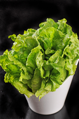 點(diǎn)擊新窗口打開大圖